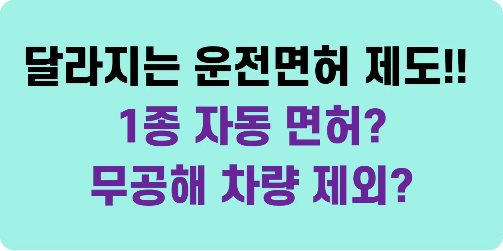 2024 운전면허 개편 섬네일